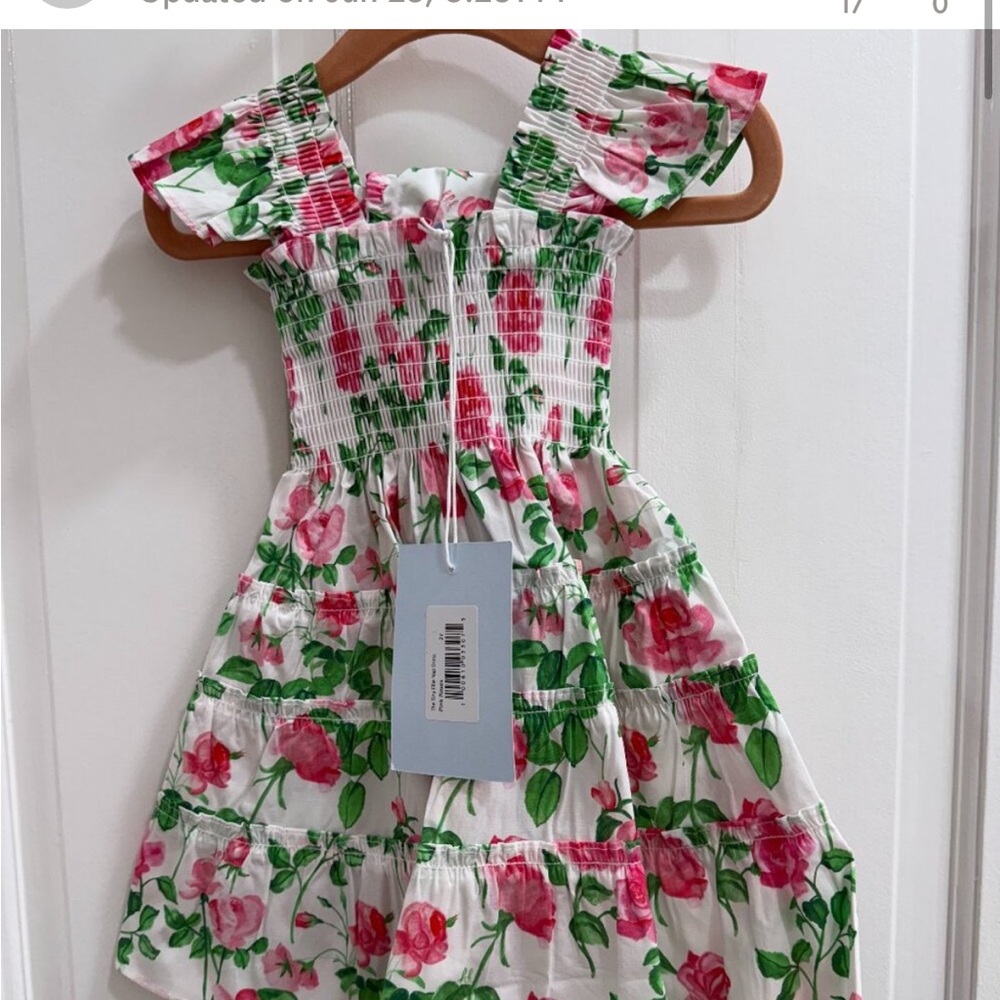 ISO Hill House Ellie Tiny Baby Nap Dress Pink Roses